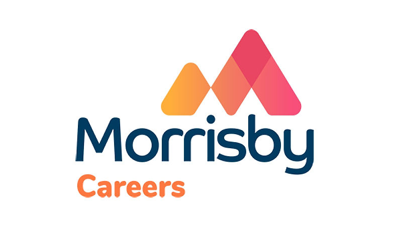 Morrisby Careers: Starting the Journey - Career Options and Guidance